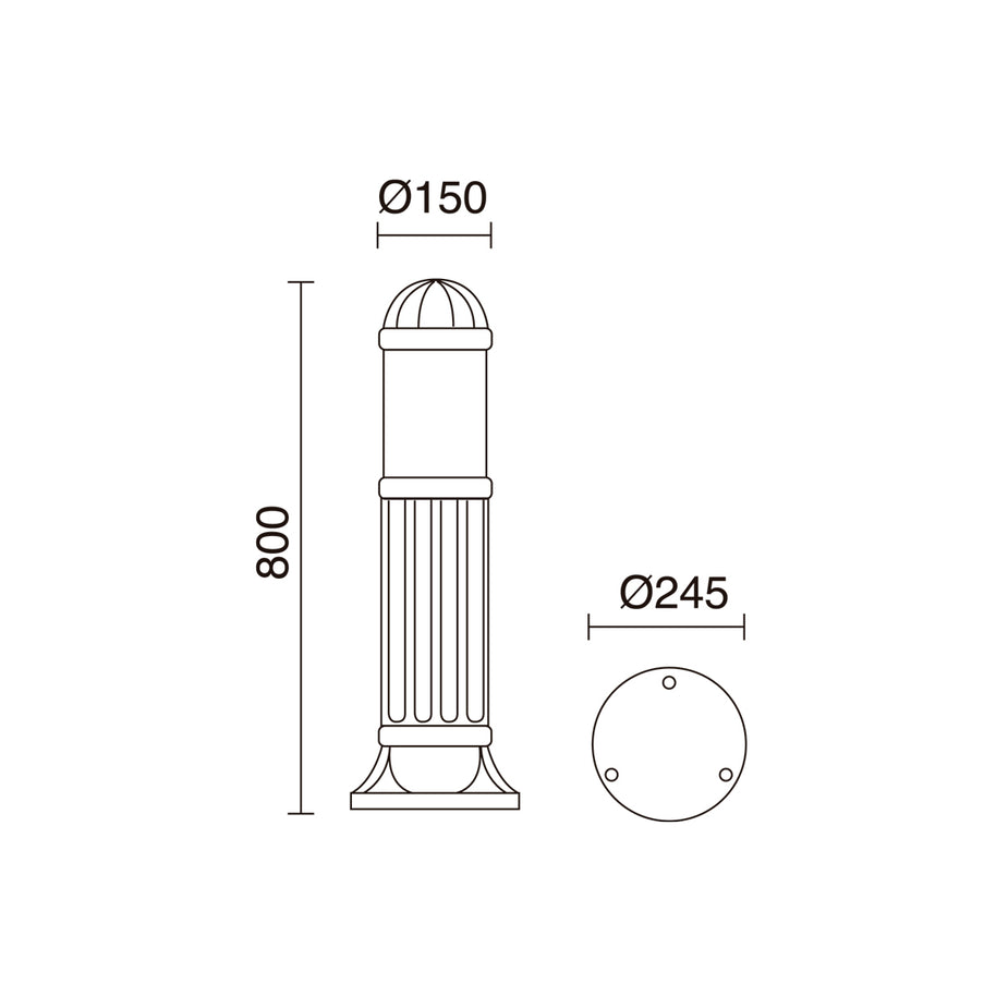 E_Sauro_272B-G31X1A-02.jpg