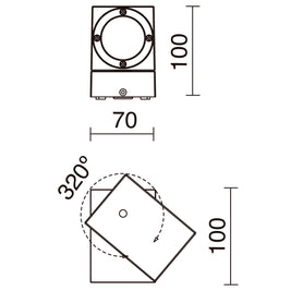 E_Suevis_452B-L0107A.jpg