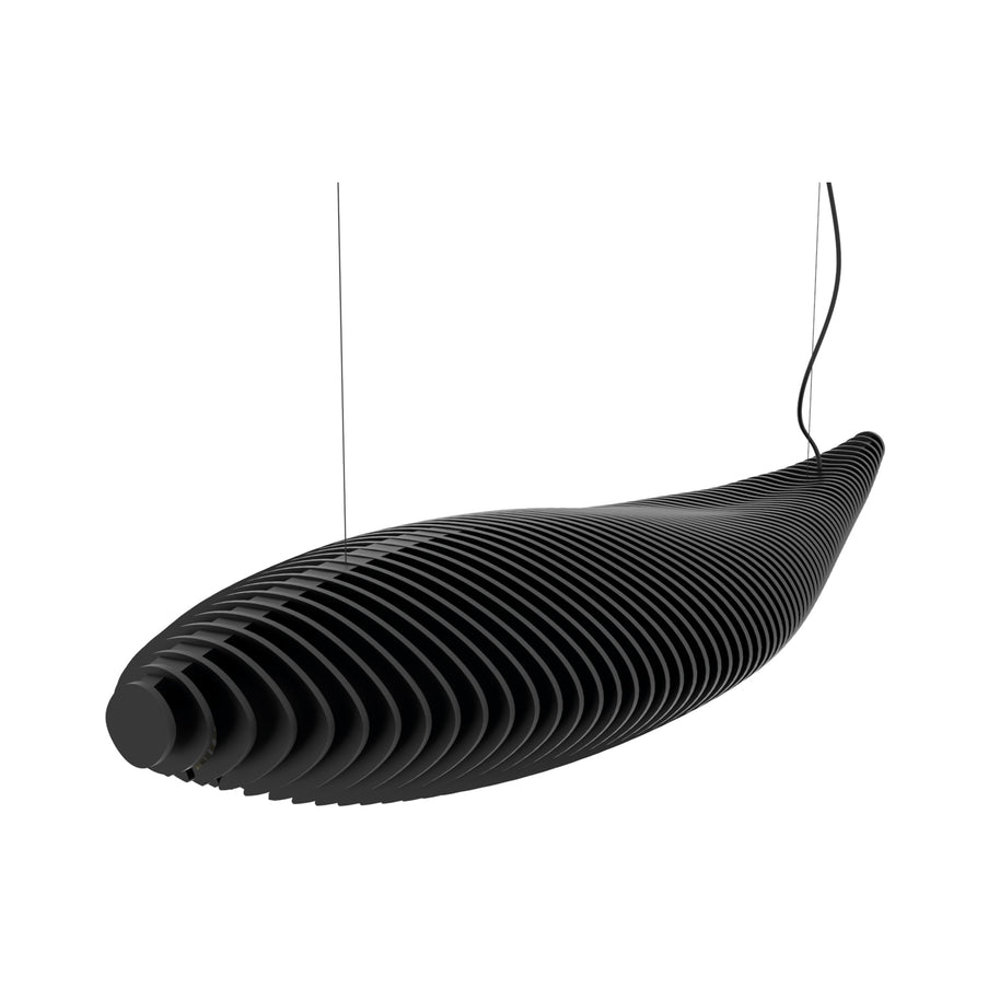 F_Fish_1013B-L4026A-02.jpg